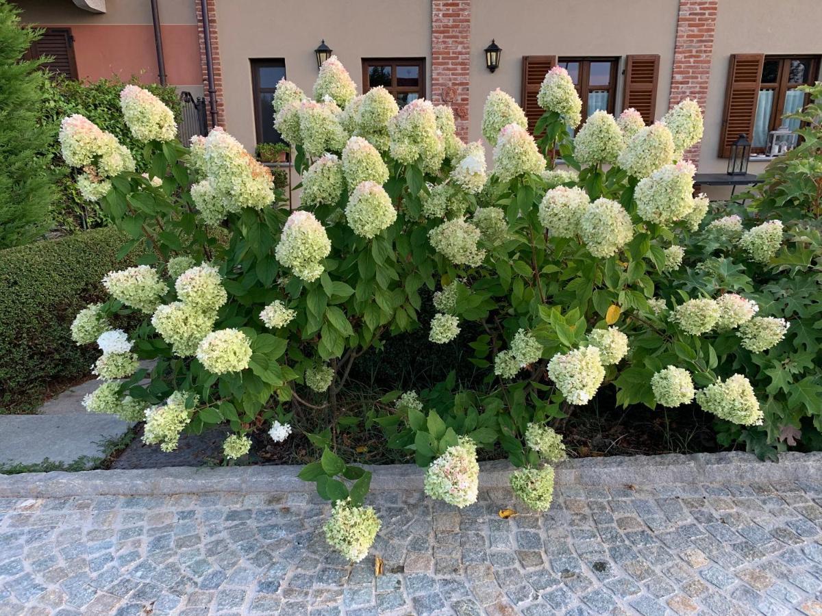 Salmore Agriturismo Sarmore מראה חיצוני תמונה